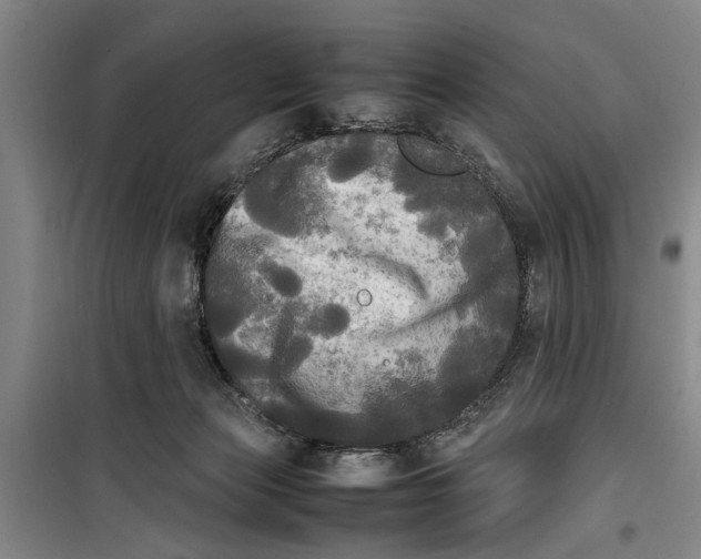 X0000099410173200805301353