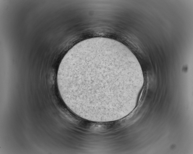 X0000099410174200805301353