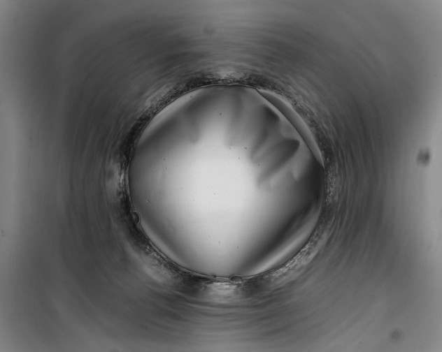 X0000099410176200805301353