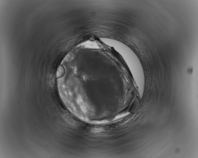 X0000099410177200805301353