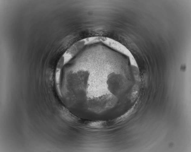 X0000099410178200805301353