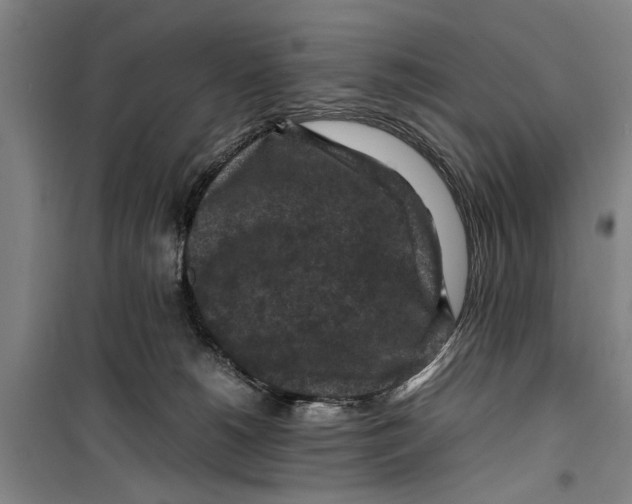 X0000099410180200805301353