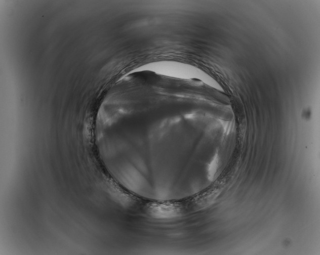 X0000099410181200805301353