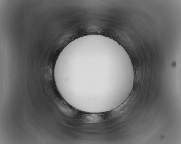 X0000099410183200805301353