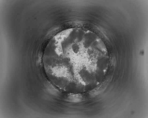 X0000099410185200805301353