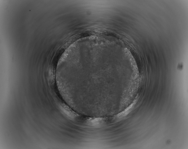 X0000099410186200805301353