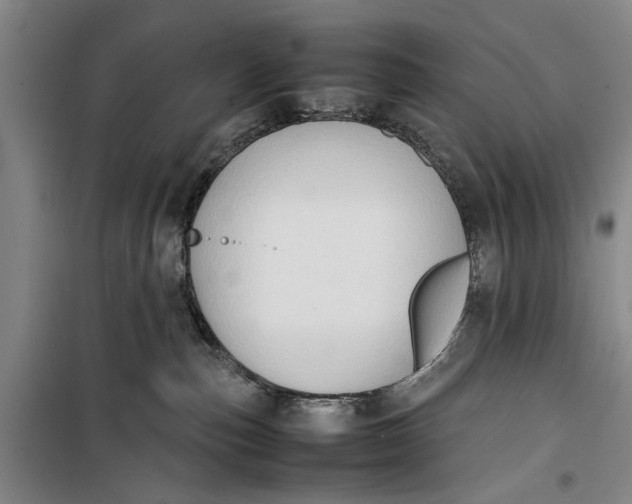 X0000099410187200805301353