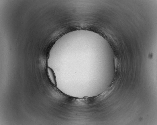 X0000099410188200805301353