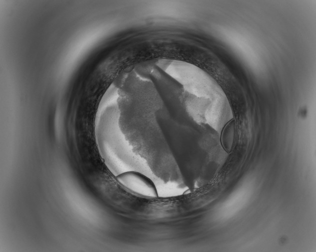 X0000099410189200805301353