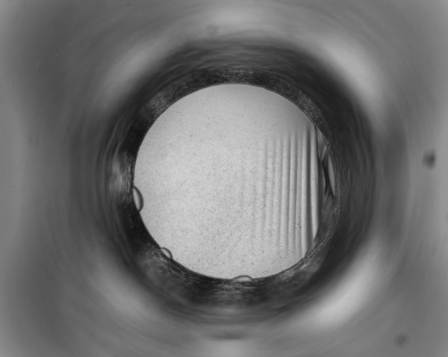 X0000099410190200805301353