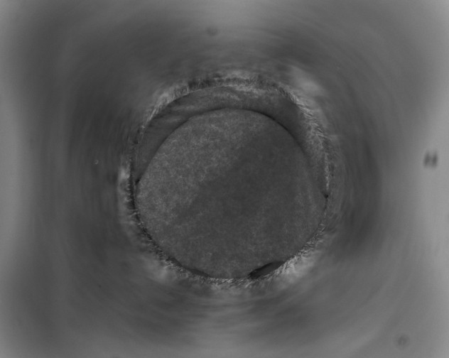 X0000099410192200805301353