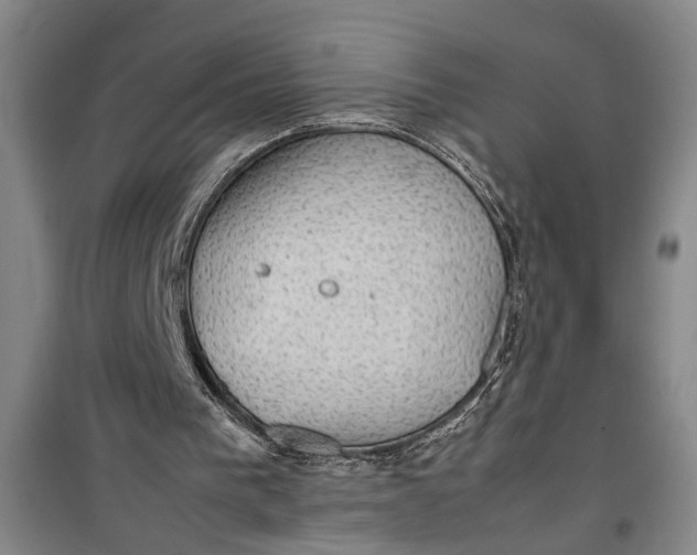 X0000099410193200805301353