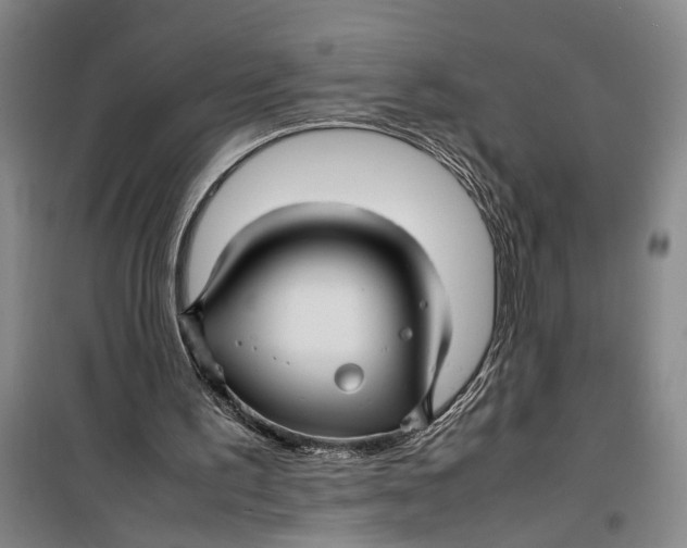 X0000099410195200805301353