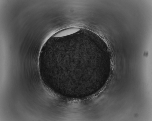 X0000099410196200805301353