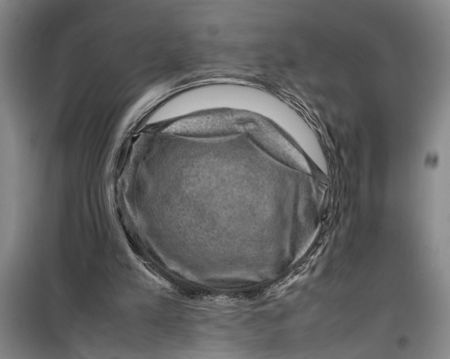 X0000099410197200805301353