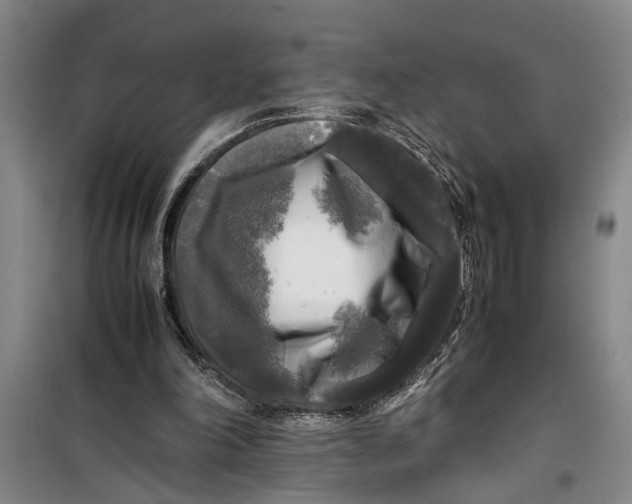 X0000099410198200805301353