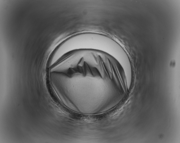 X0000099410199200805301353