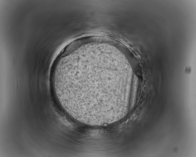 X0000099410200200805301353