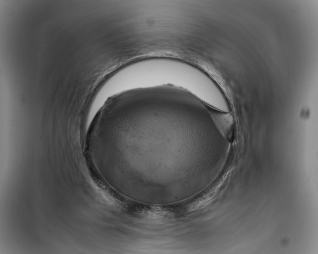 X0000099410201200805301353