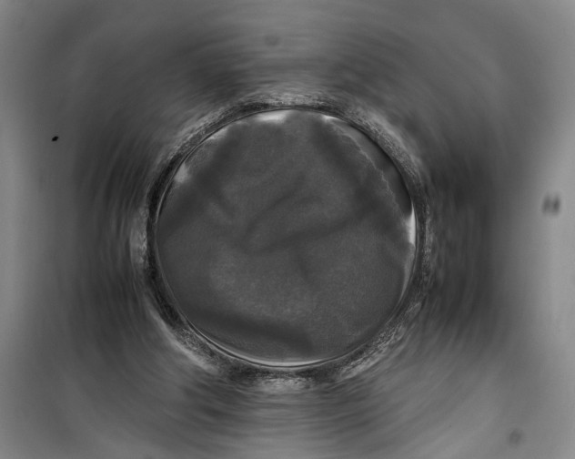 X0000099410202200805301353