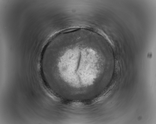 X0000099410203200805301353