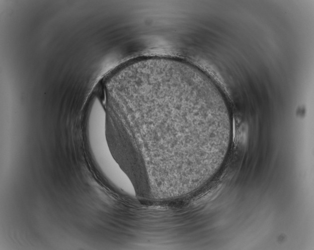 X0000099410204200805301353