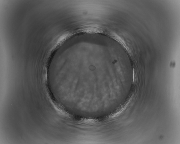 X0000099410205200805301353