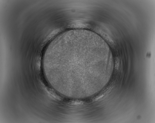 X0000099410206200805301353