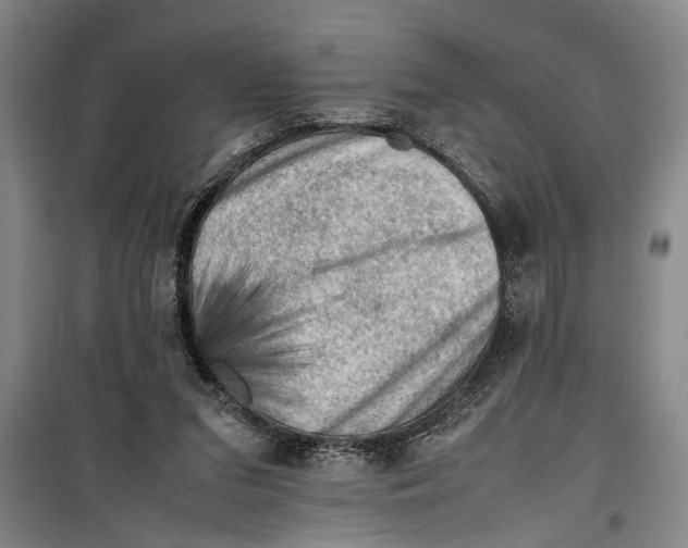 X0000099410207200805301353