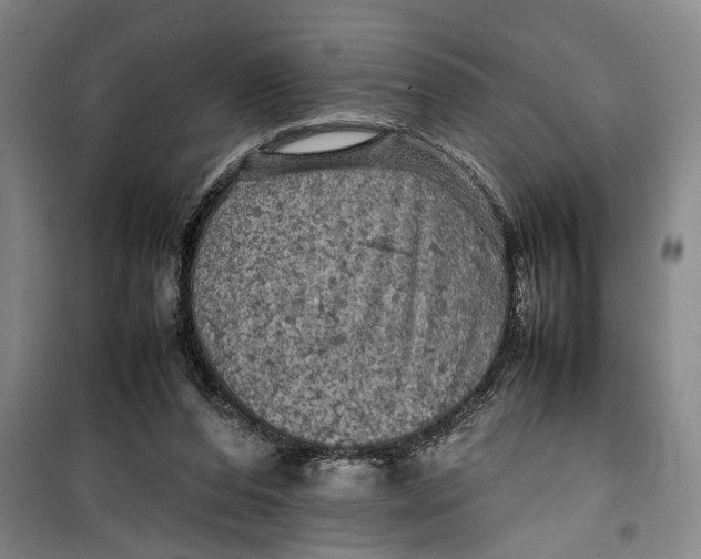 X0000099410208200805301353