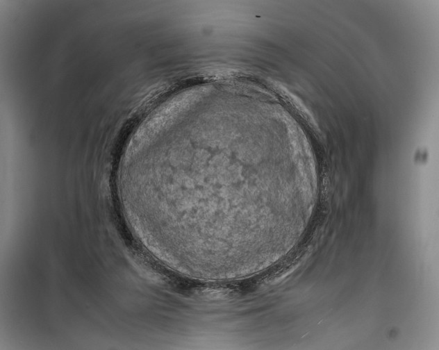 X0000099410209200805301353