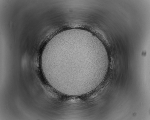 X0000099410210200805301353