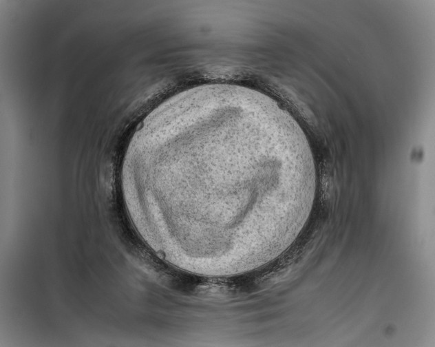 X0000099410211200805301353