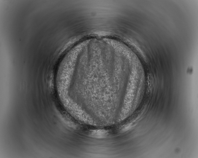 X0000099410212200805301353