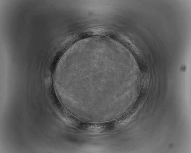 X0000099410213200805301353