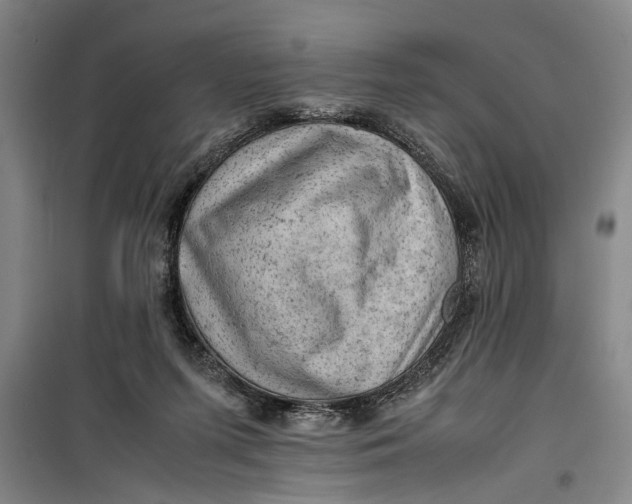 X0000099410215200805301352