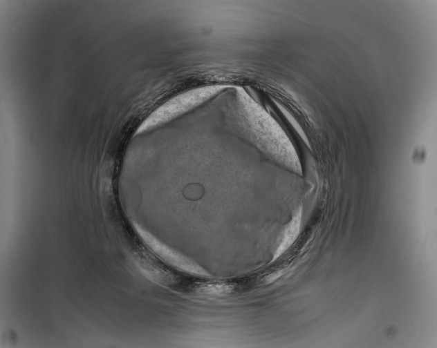 X0000099410217200805301352