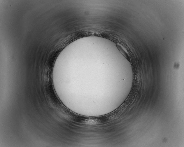 X0000099410218200805301352