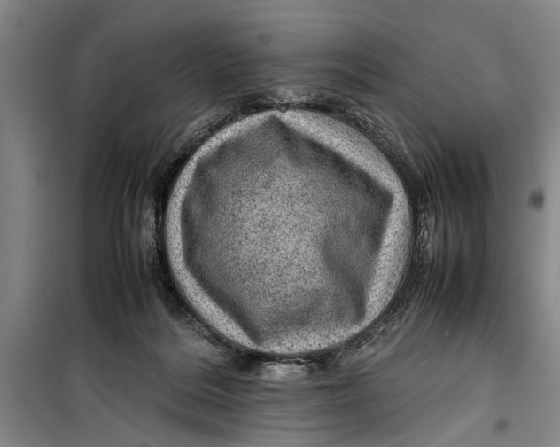 X0000099410220200805301352