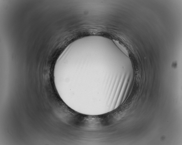 X0000099410221200805301352