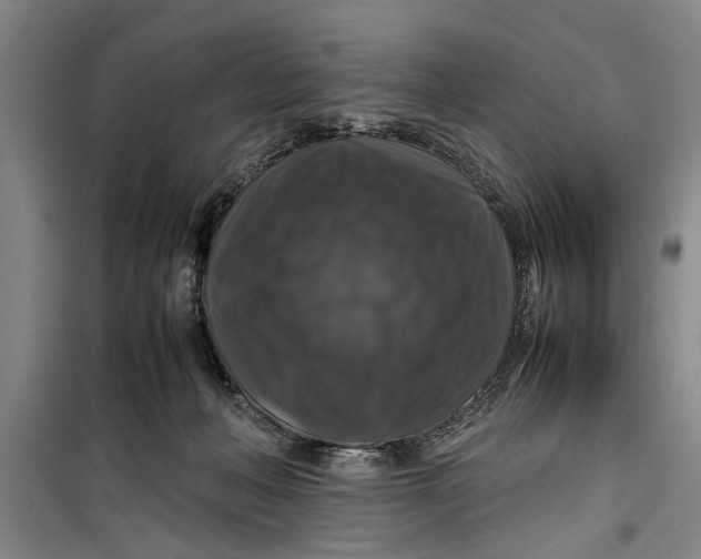 X0000099410222200805301352