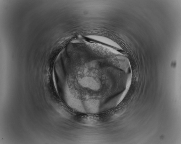 X0000099410223200805301352