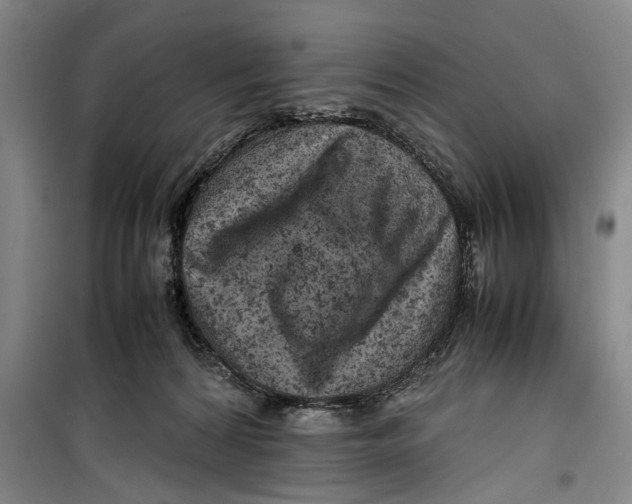 X0000099410224200805301352