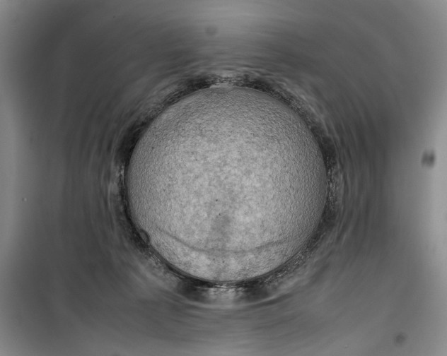 X0000099410225200805301352