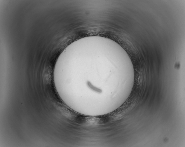 X0000099410226200805301352