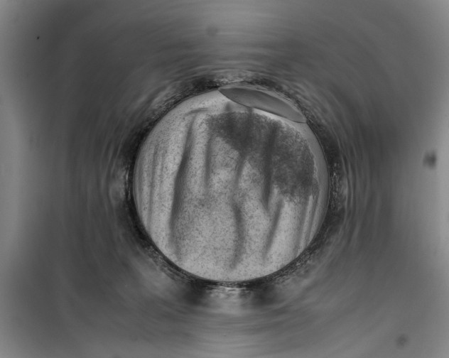 X0000099410227200805301352