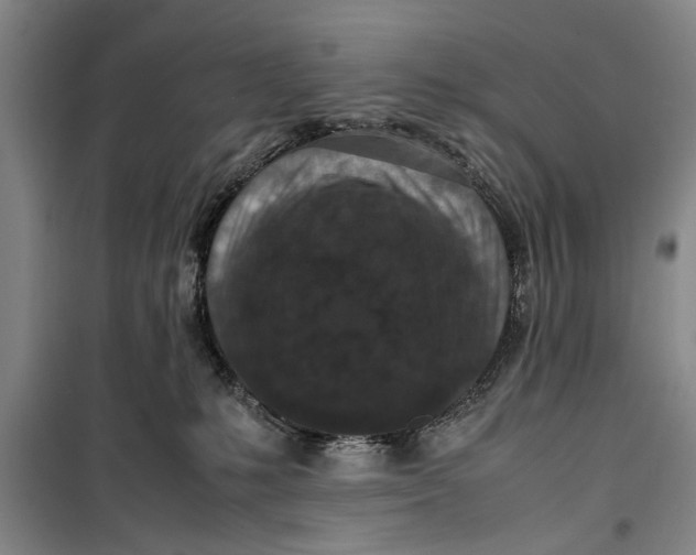 X0000099410231200805301352