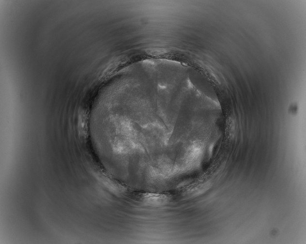 X0000099410234200805301352