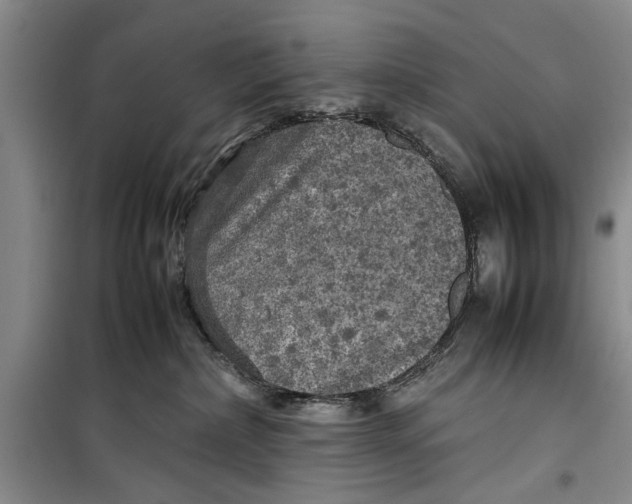 X0000099410236200805301352