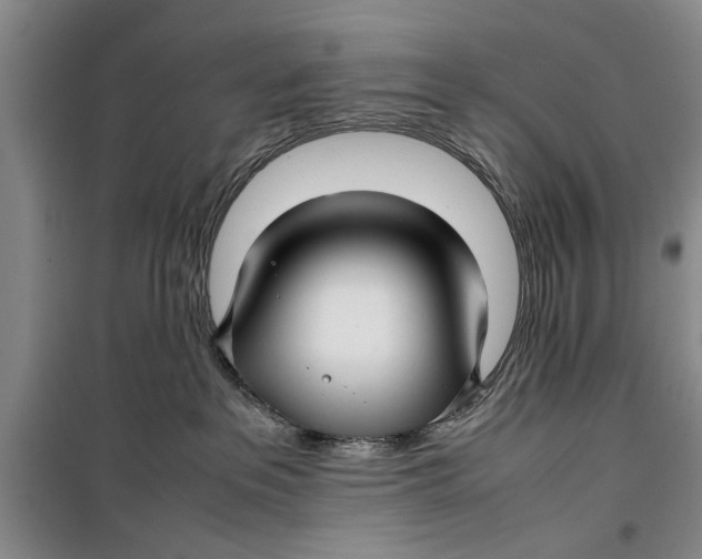 X0000099410237200805301352